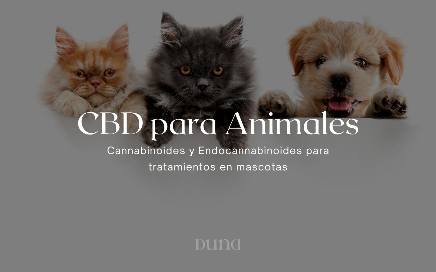 CBD para animales: Cannabinoides y Endocannabinoides para tratamientos en mascotas.