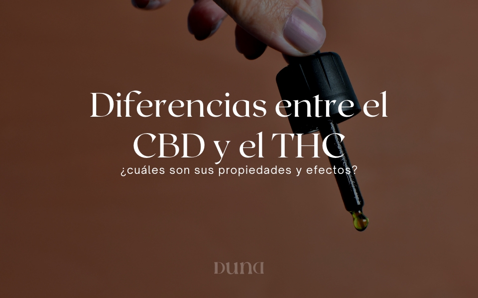 Diferencias Entre El CBD Y El THC: ¿cuáles Son Sus Propiedades Y ...